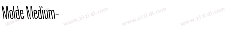 Molde Medium字体转换
